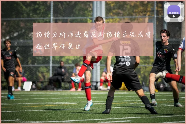 伤情分析师透露尼科伤情乐观或将在世界杯复出