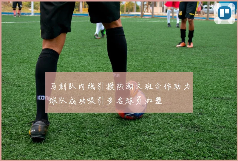马刺队内线引援热潮文班合作助力球队成功吸引多名球员加盟