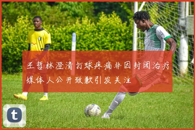 王哲林澄清打球疼痛非因封闭治疗媒体人公开致歉引发关注