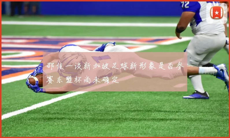 邵佳一谈新加坡足球新形象是否参赛东盟杯尚未确定
